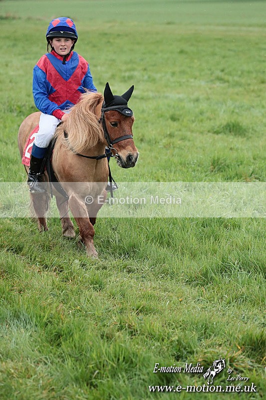SHETPR 210425 153 - Shetland Ponies Paxford Races 21/04/25