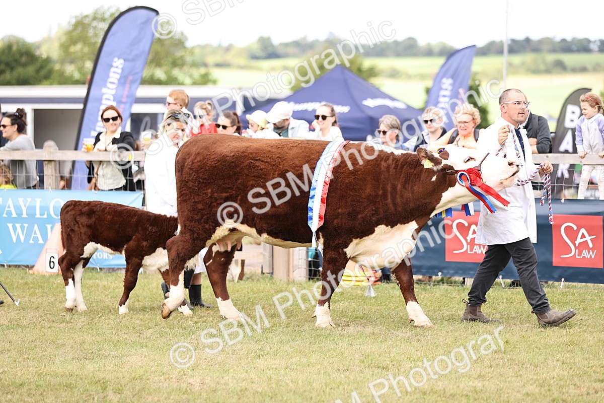 SBM_16873 - Grand Parade