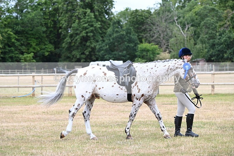WJ6_4084 - Class 9 Tack & Turnout