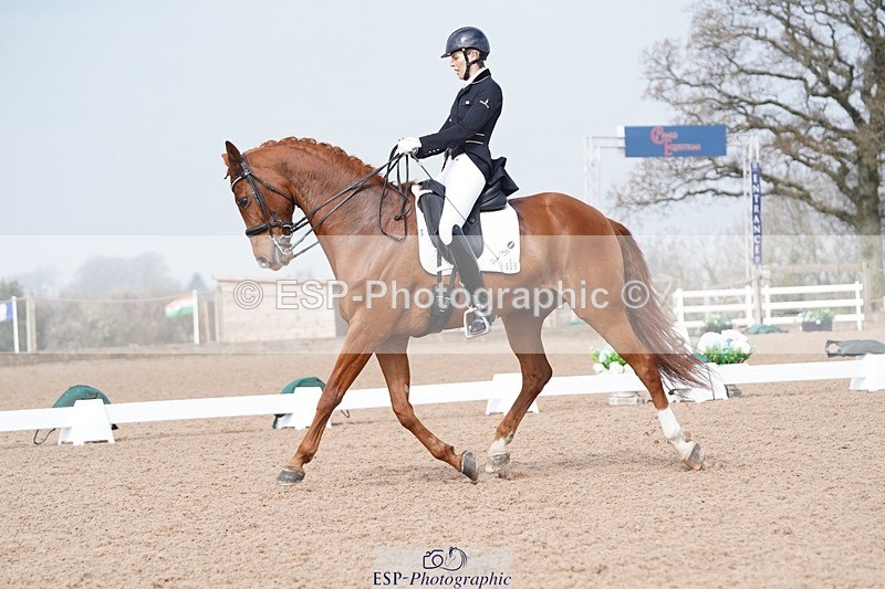 250404-112350-05431 - 009-Sarah.Stewart-Djoe.Dimaggio