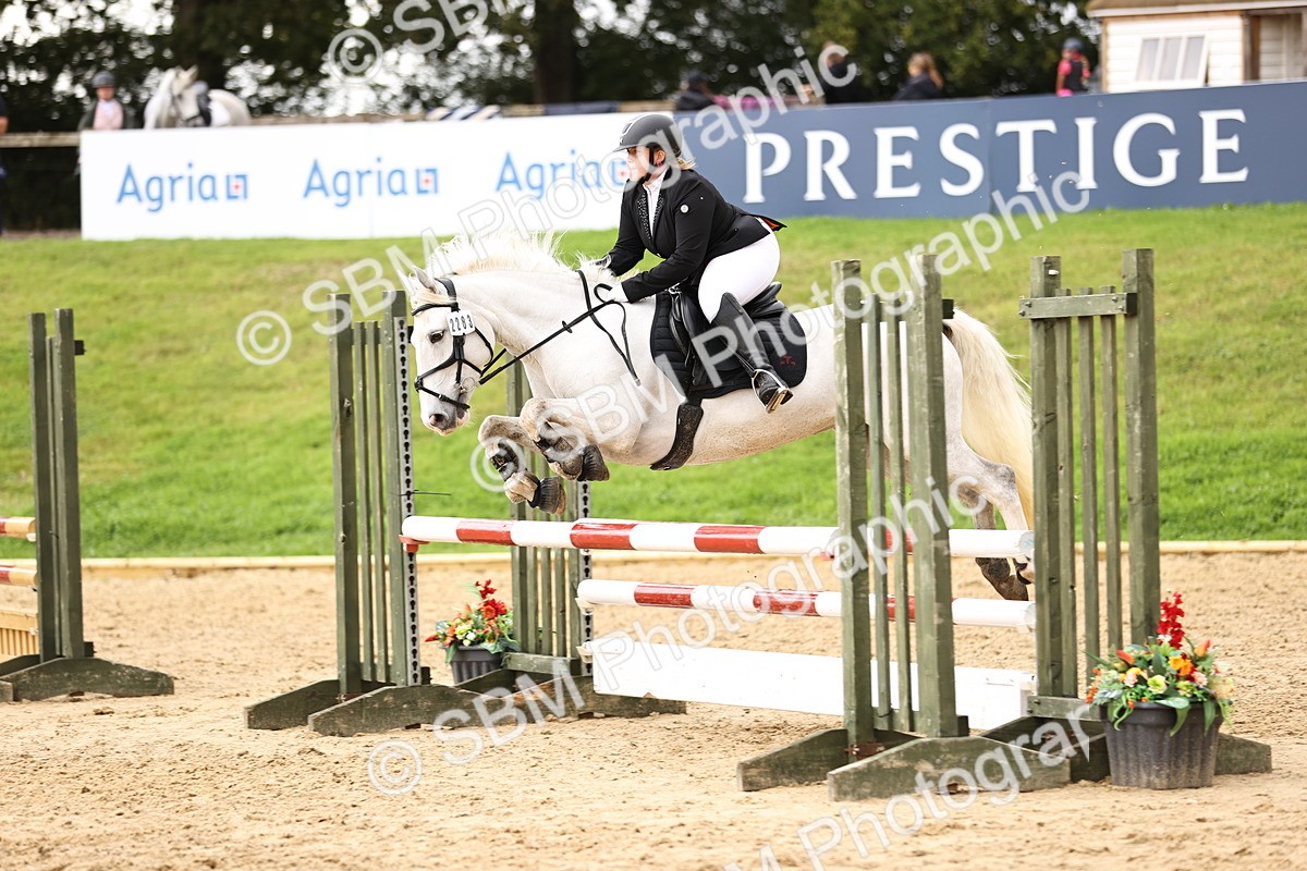 SBM_41990 - J40 Senior Horse & Pony 90cm Supreme Championship