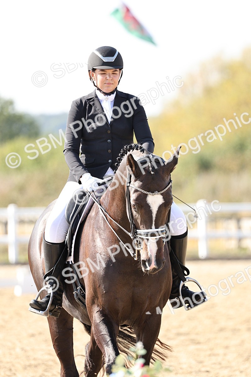 SBM_015331 - Class 9 - Advanced medium 3