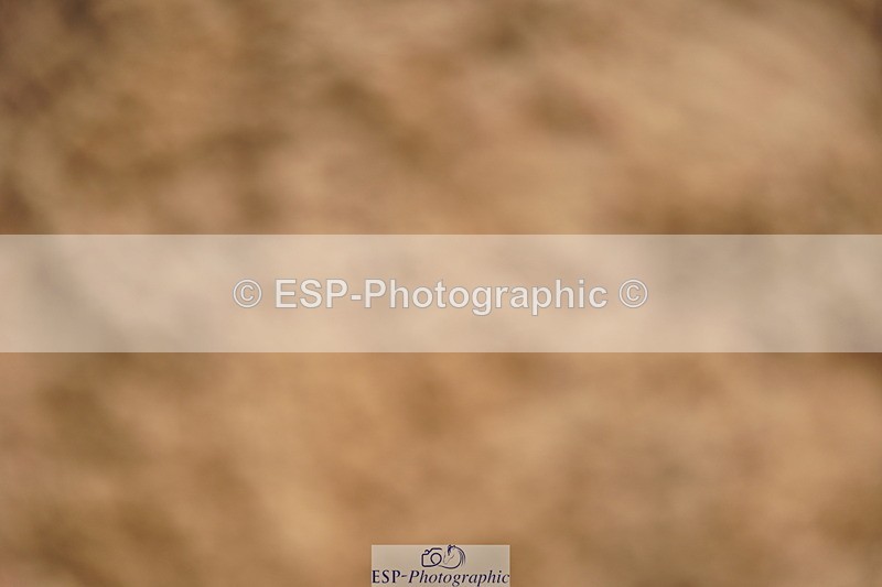 240317A-113204-05633 - Cls 26 National 1.30m Open