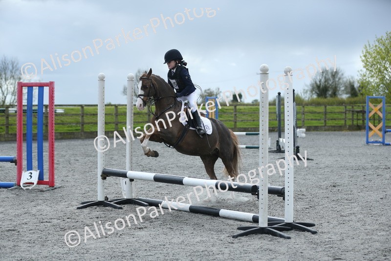 20260412-1742 - Show Jumping