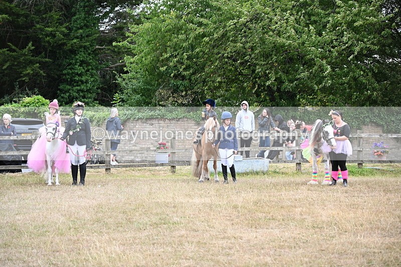 WJ6_9194 - Class 11 Fancy Dress