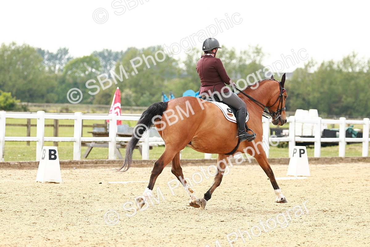 SBM_002805 - Class 12 - Medium 4