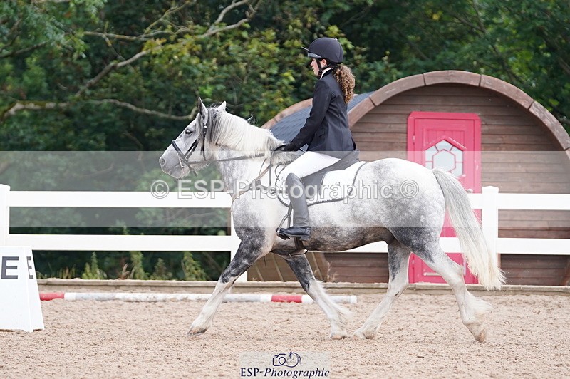 240809A-101708-00471 - Dressage Competition