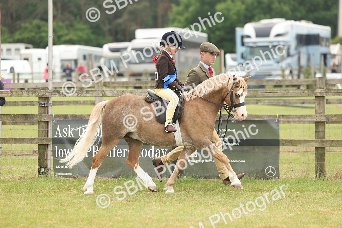 SBM_06838 - Class 74-75 - M&M Lead Rein and First Ridden Pony
