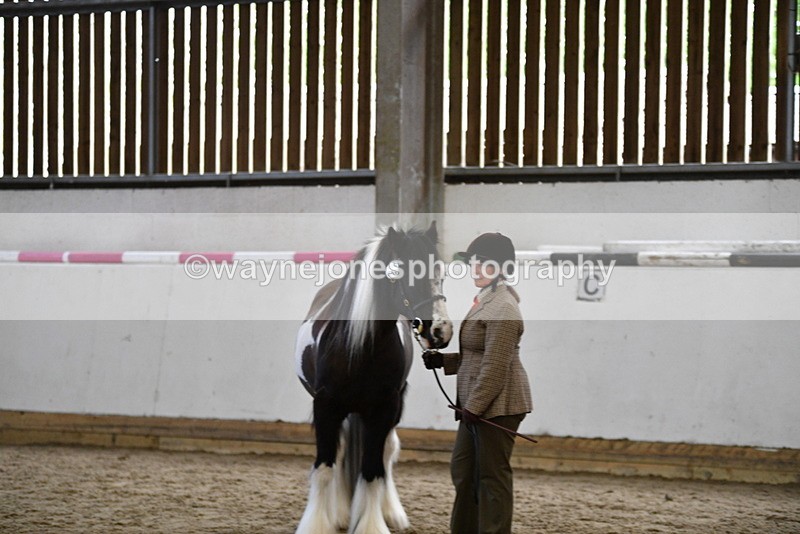 WJ5_5140 - Class 7 In hand coloured / odd coloured