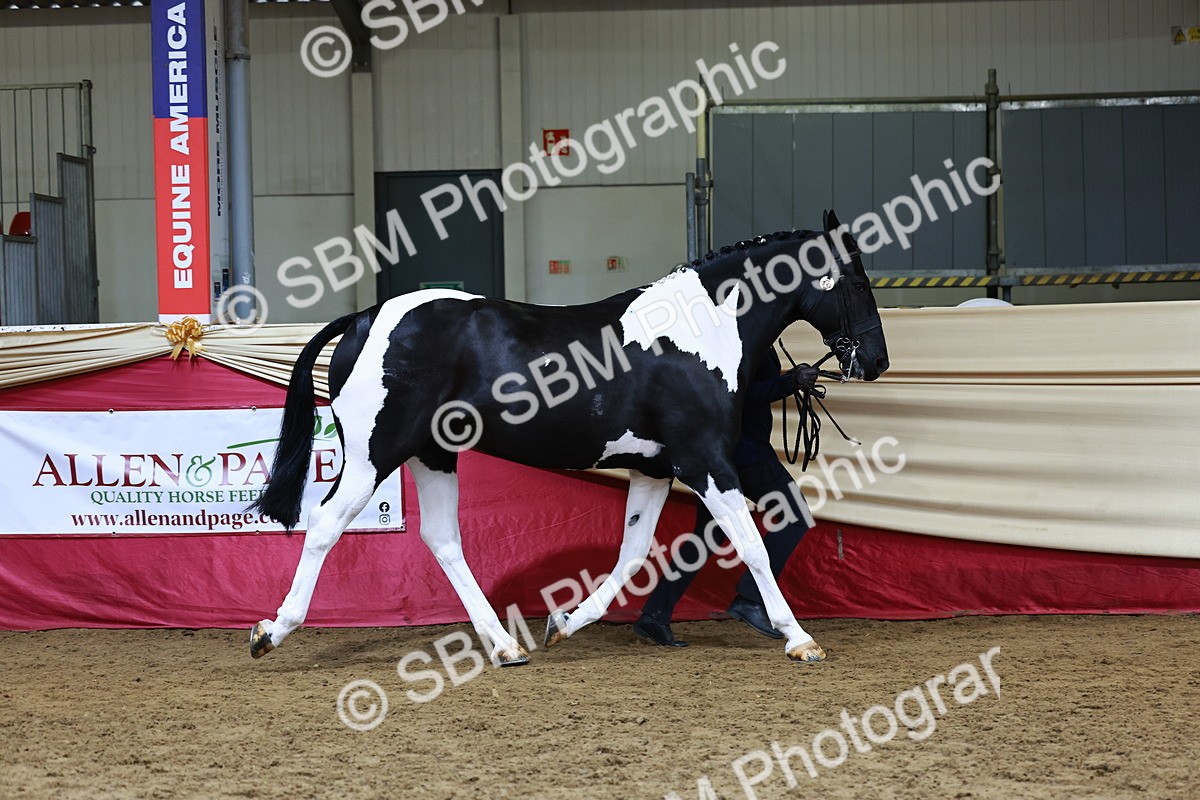 SBM_23036 - Supreme Final - IH  Champ