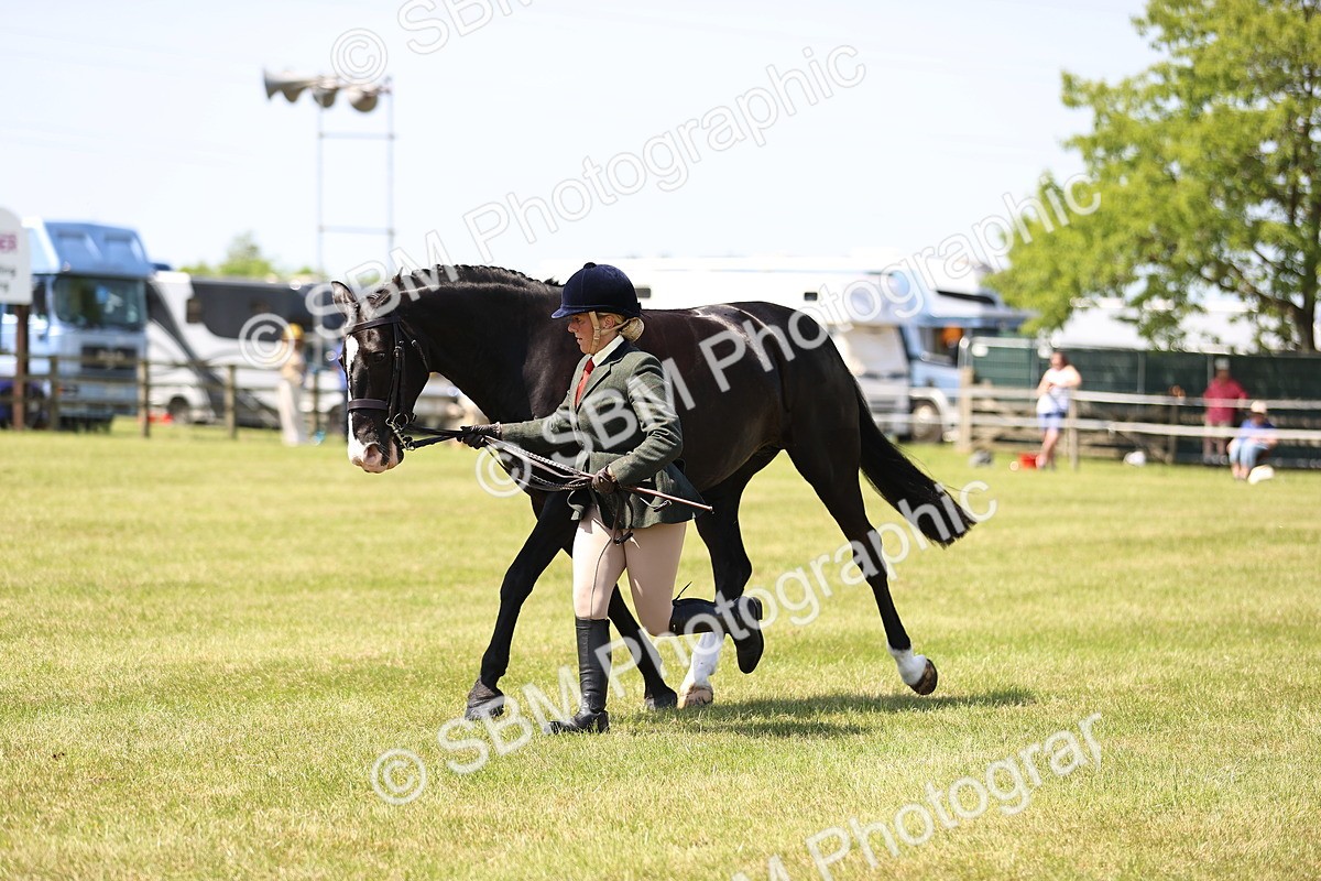SBM_15230 - Class 79-80 - LIHS BSHA Rising Star Ridden Hunter