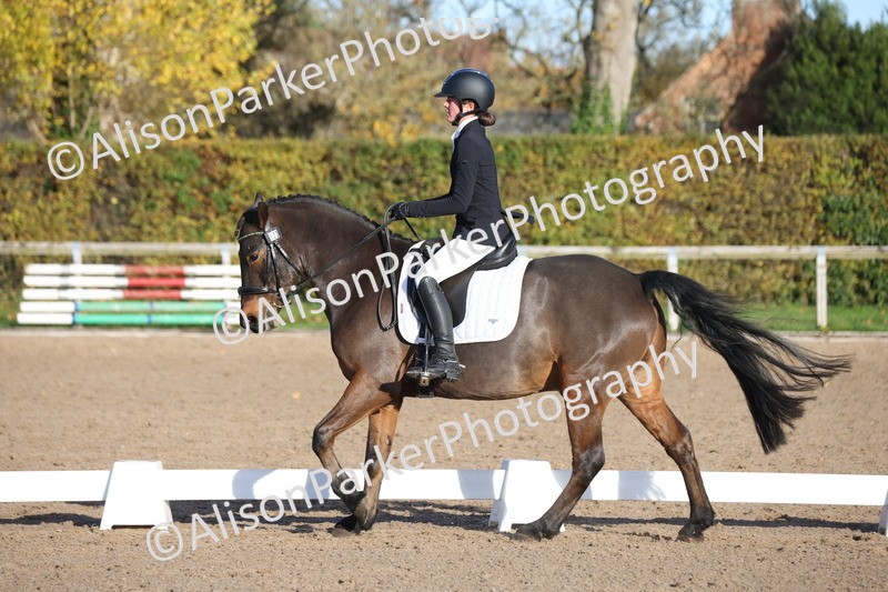 20251102-0296 - Class 2 - Prelim 6