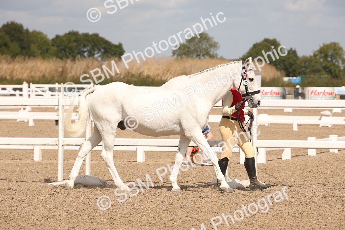 SBM_04524 - Class 20 IH Veteran