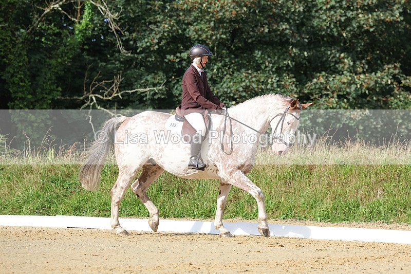 3E7A2376 - Class 1: Intro 4 2024 section A