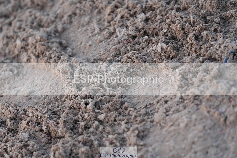 251130-144111-02353 - Cls 31 Stepping Stones