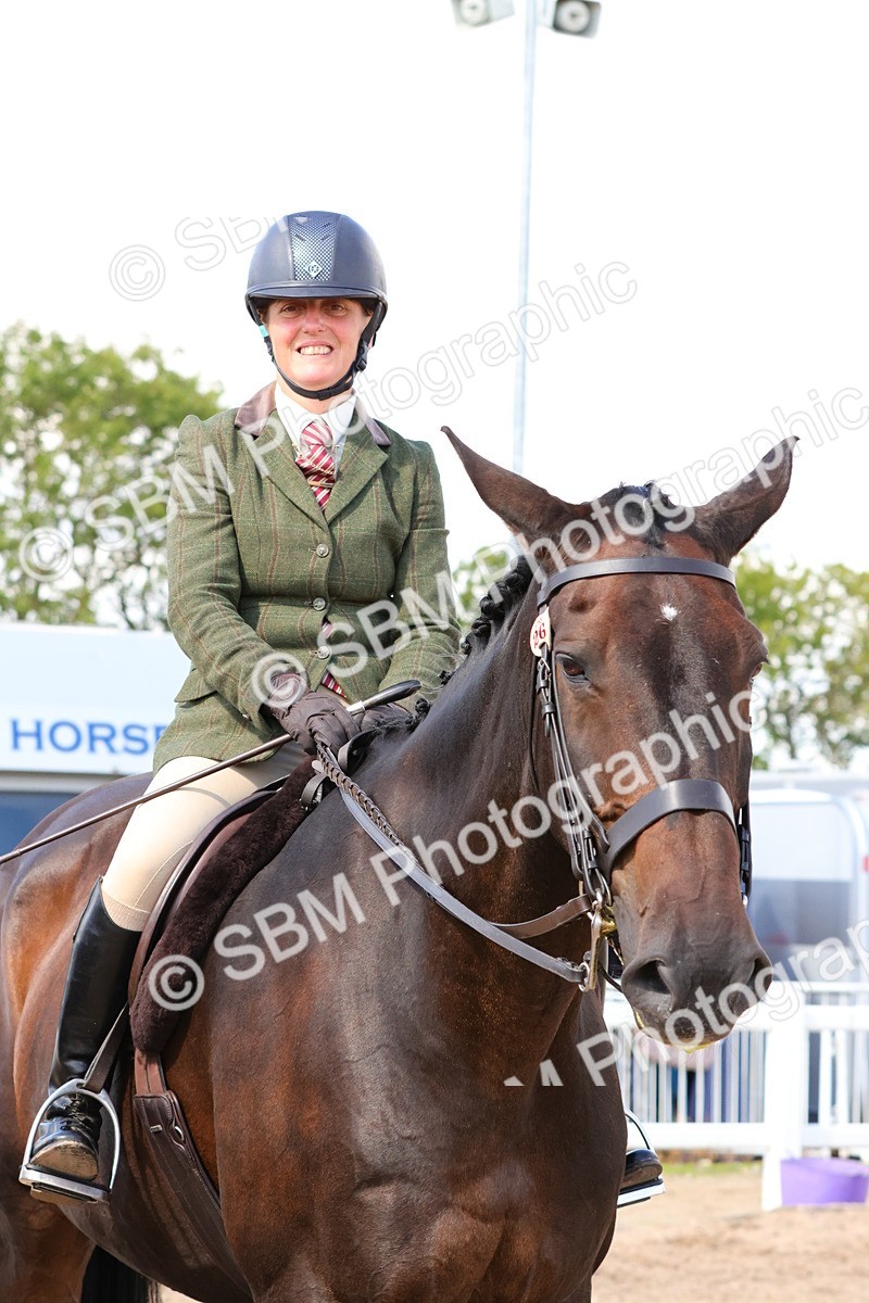 SBM_13508 - Class 212 - Ridden Hunter  - Large
