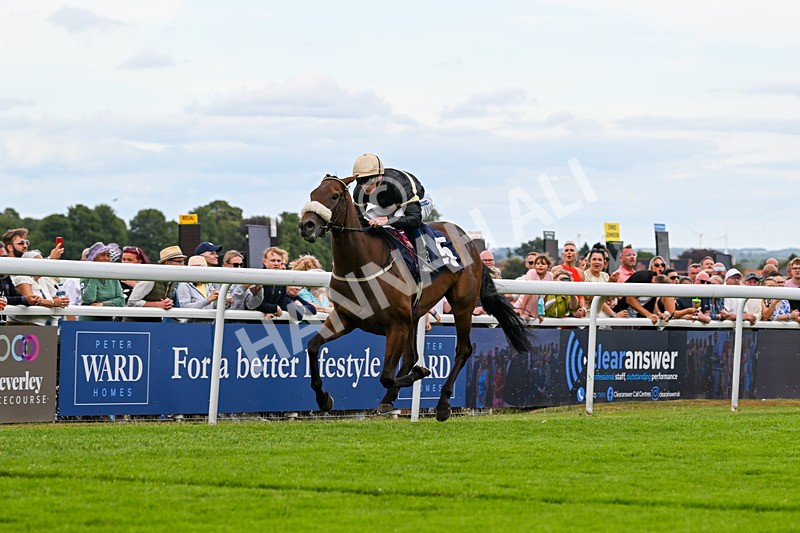 050725-Race 7-Dollys Delight-9761 - Race 7