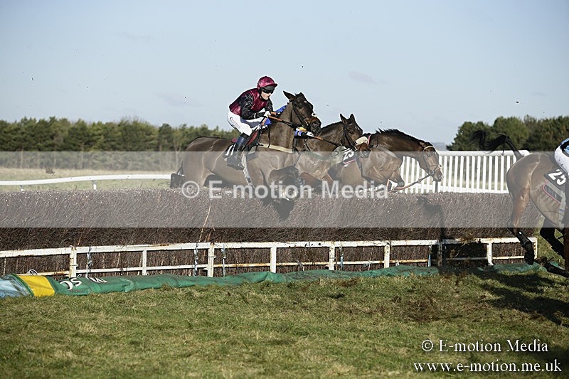 PtP 070118 -397 - Larkhill Racing Club Point to Point Larkhill 07/01/2018