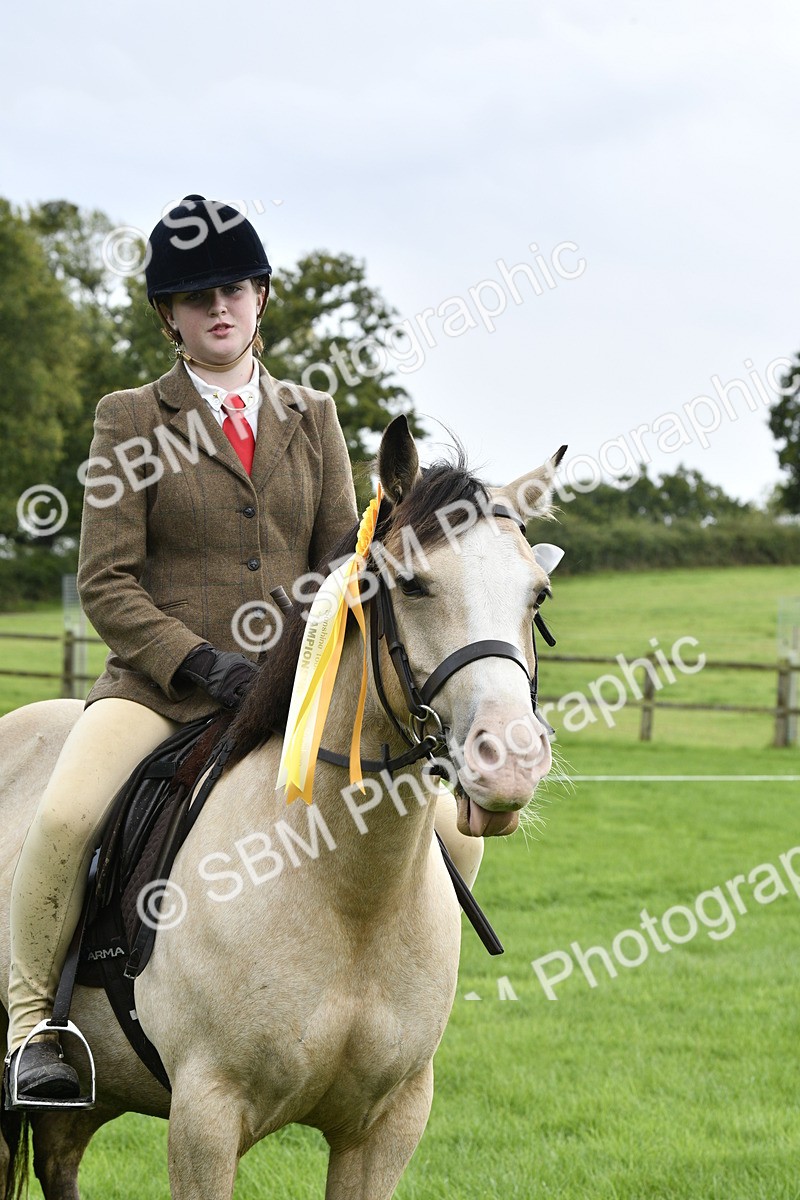 SBM_38309 - S31 - Novice & Newcomer Working Hunter Pony