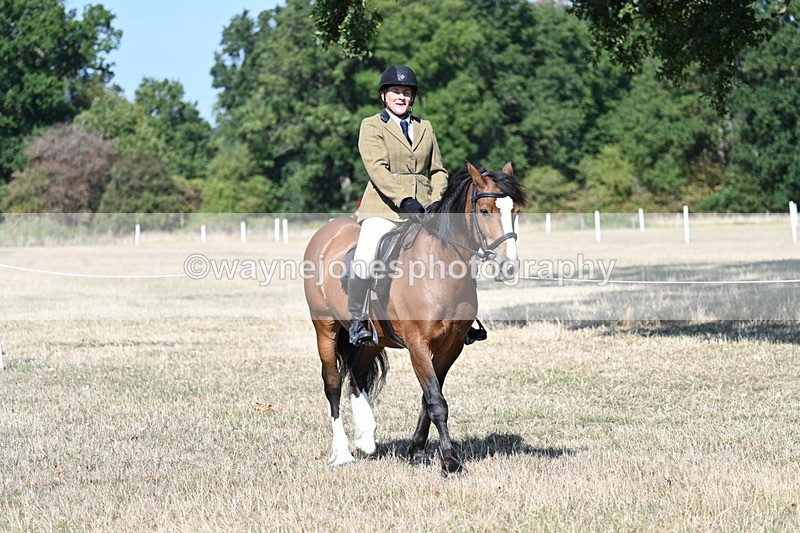 WJ7_3517 - Class 9 Mountain & Moorland Ridden