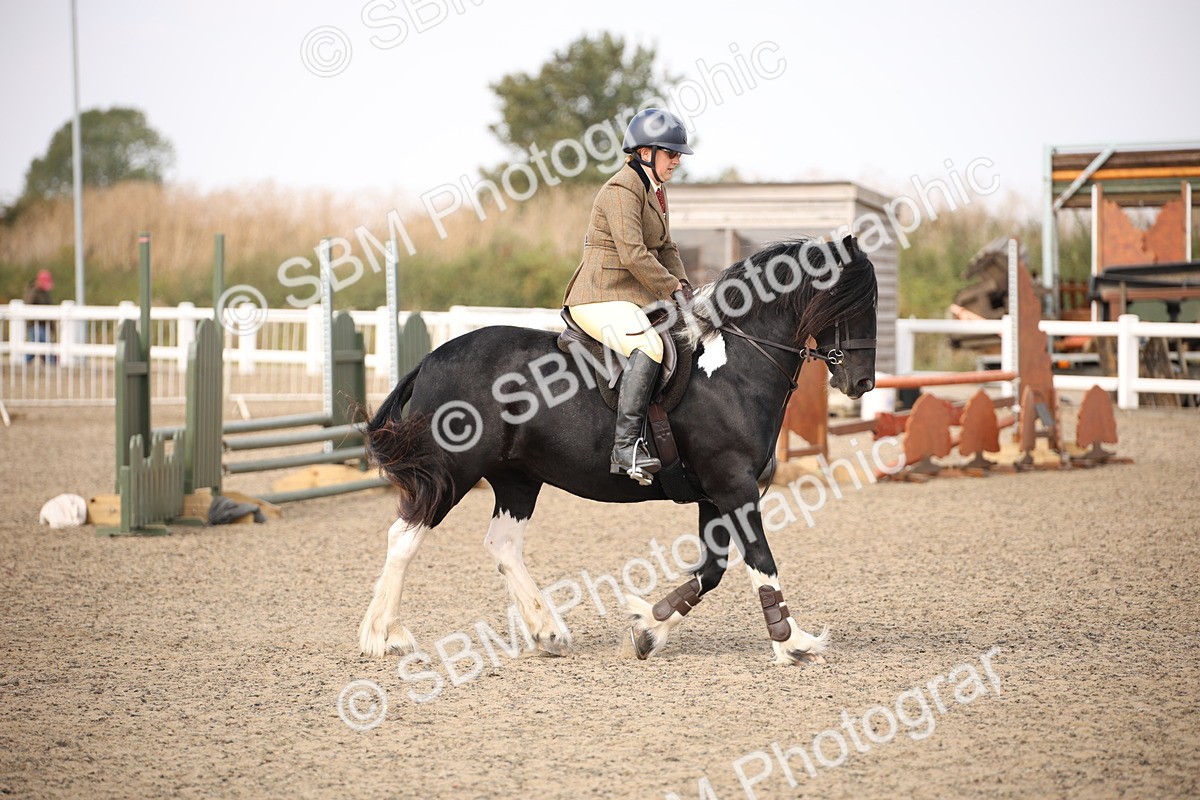 SBM_14210 - Class 407a - Working Veteran 60cm (15-19