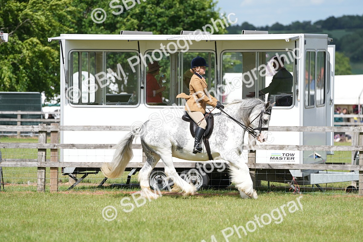 SBM_17256 - Class 107-108 - LIHS BSPS Performance Coloured Horse Pony