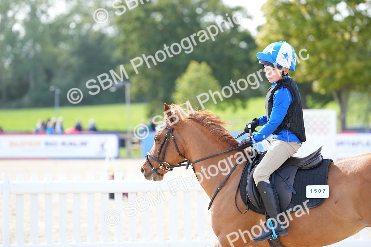 SBM_18054 - J58 - Clear Round 50cm