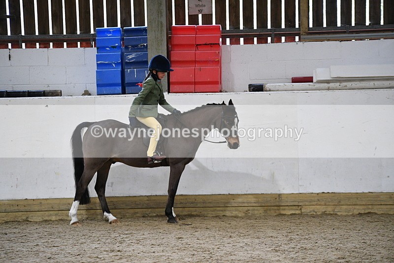 WJ5_6865 - Class 10 Childs Pony
