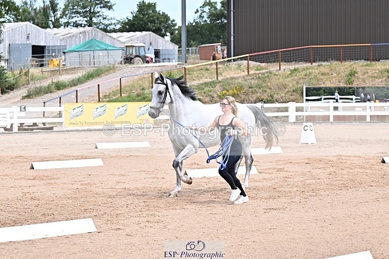 250716-130410-00302 - Trot Up 12.30 to 1.30