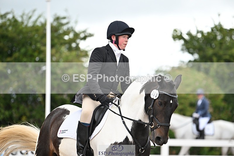 250705-175535-04265 - N2 Section BDNOV2 16.29 to 17.46