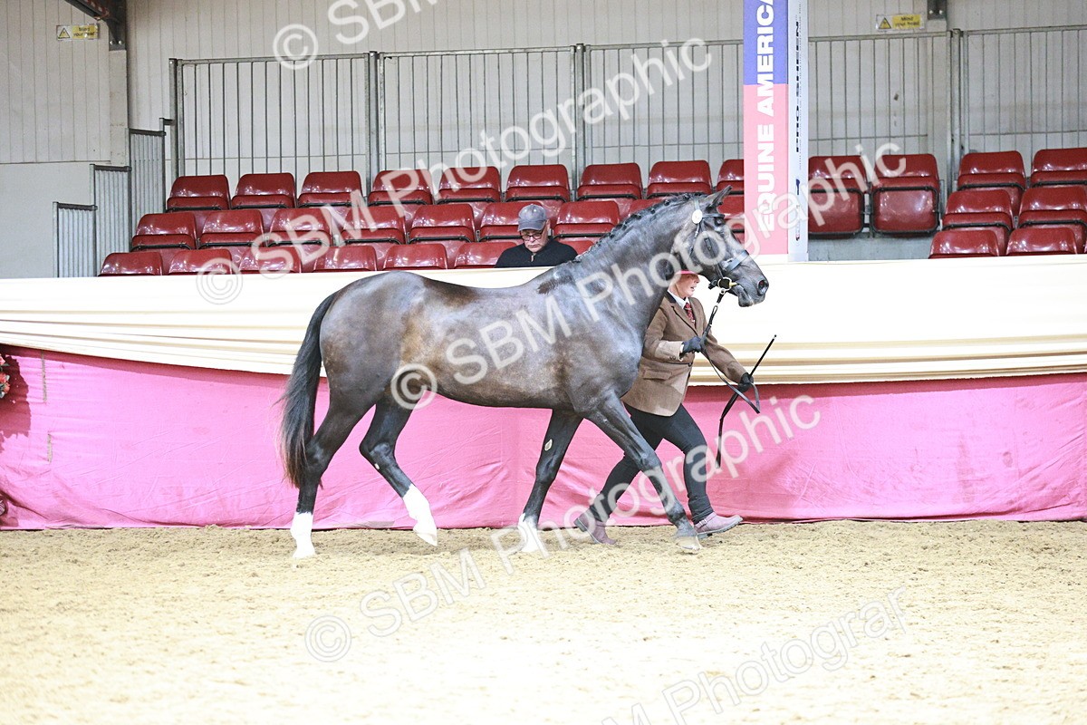 SBM_04683 - Class 7R - Regional IH Diamond