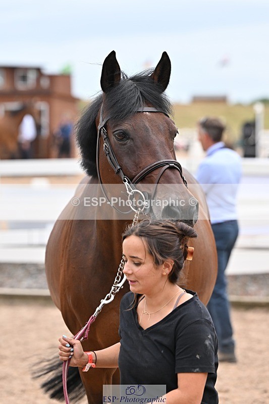 250716-144619-01384 - Trot Up 2.30 to 3.30