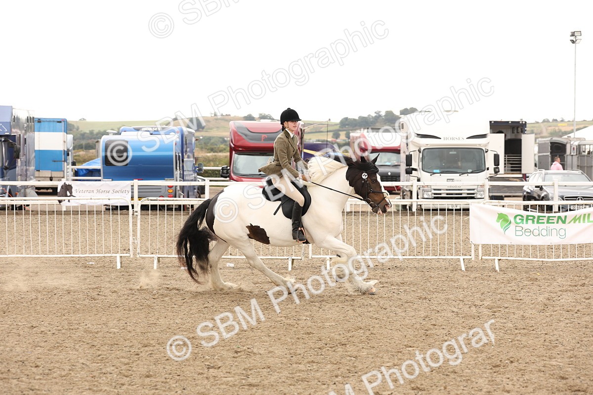 SBM_06692 - Class 58a -  Style & Performance - 70cm (15-19)