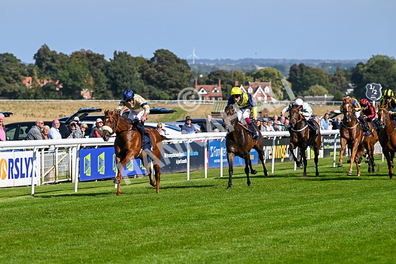 180924-Race 2-American Style-3938 - Race 2