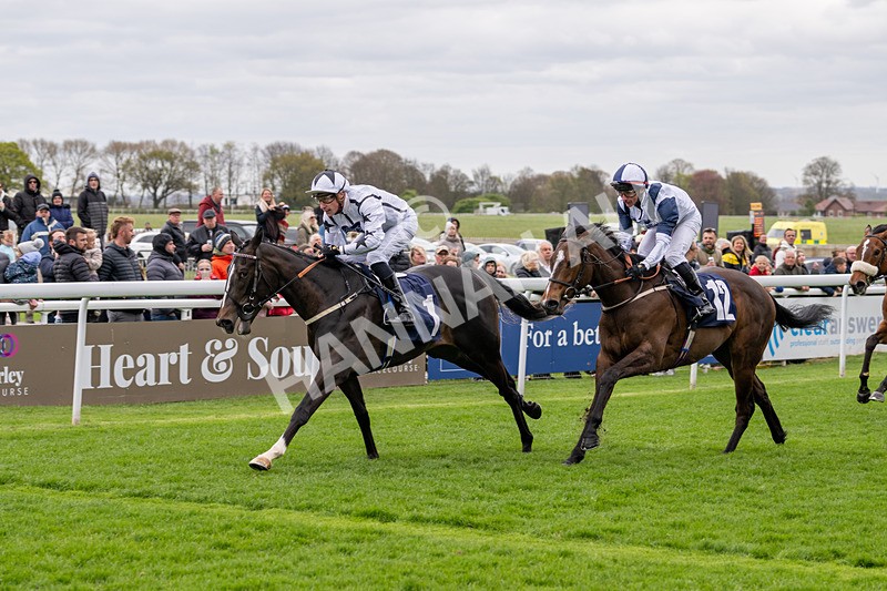 160425-Race 1-Ali Shuffle-2262 - Race 1