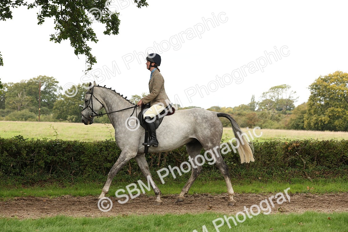 SBM_66356 - S66 - Hunter Ridden