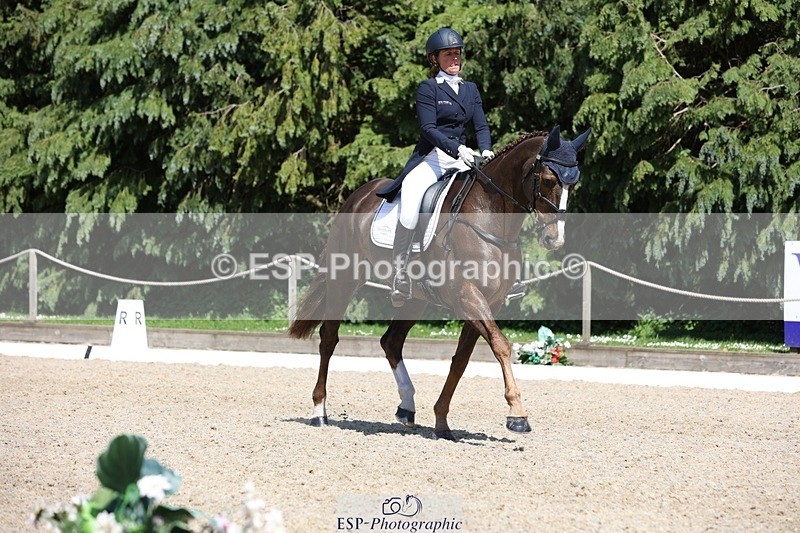 230526-145445-06580 - 376-DIRECT_BALLYTARSNA_DUCAREL-Jodie_Amos-WEDTrotUp+DR