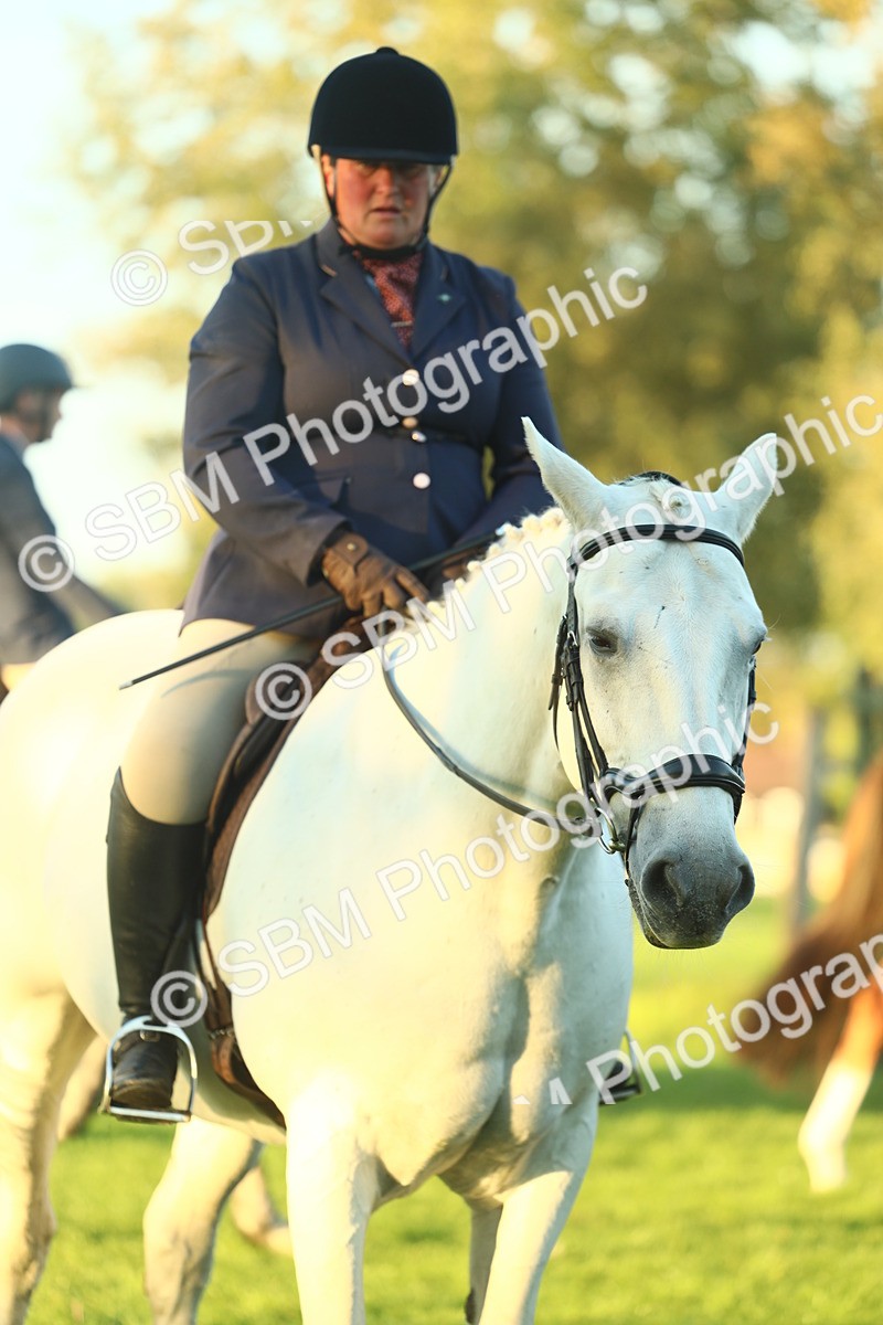 SBM_56512 - S14 - Riding Club Horse