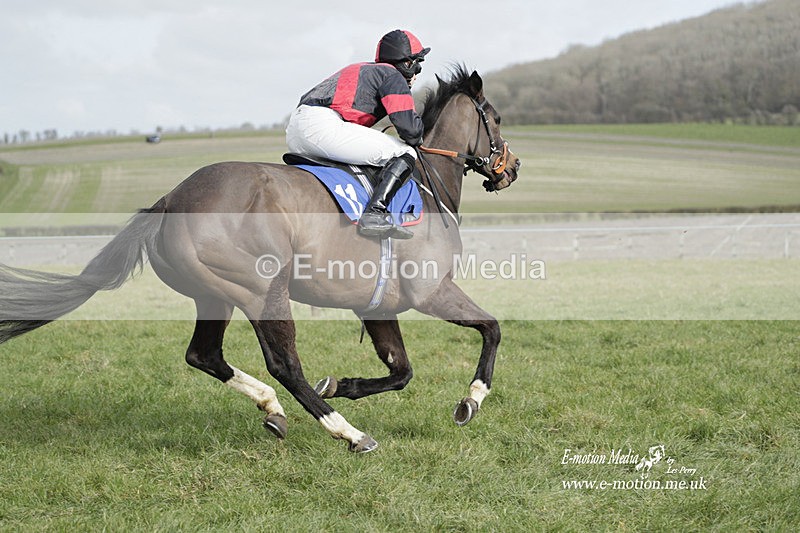 PtP 250223 021 - Kimblewick Hunt Point-to-Point Kingston Blount 25/02/23