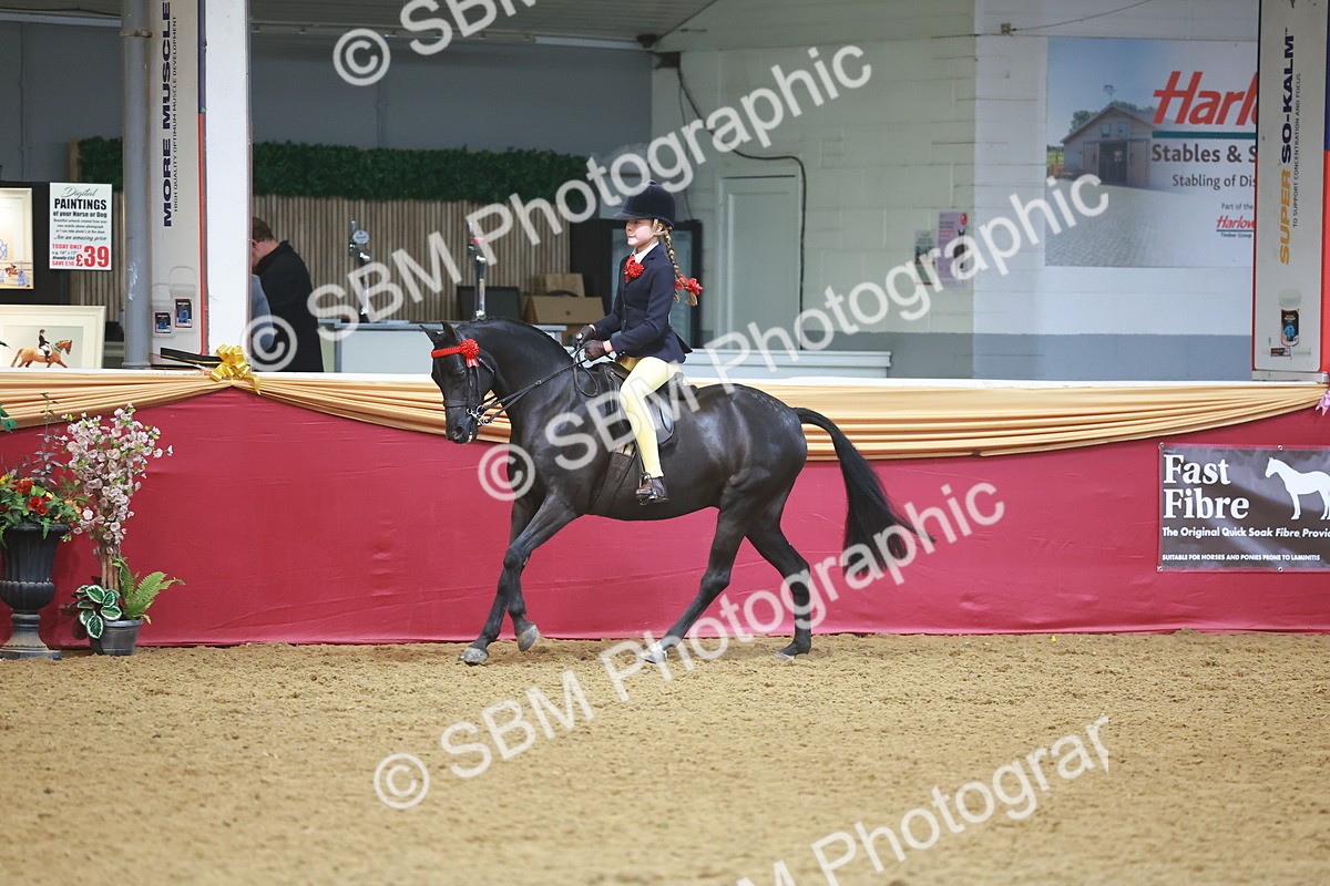 SBM_12538 - Class 103 - HOYS Veteran Qualifier - Ridden Pre Vet