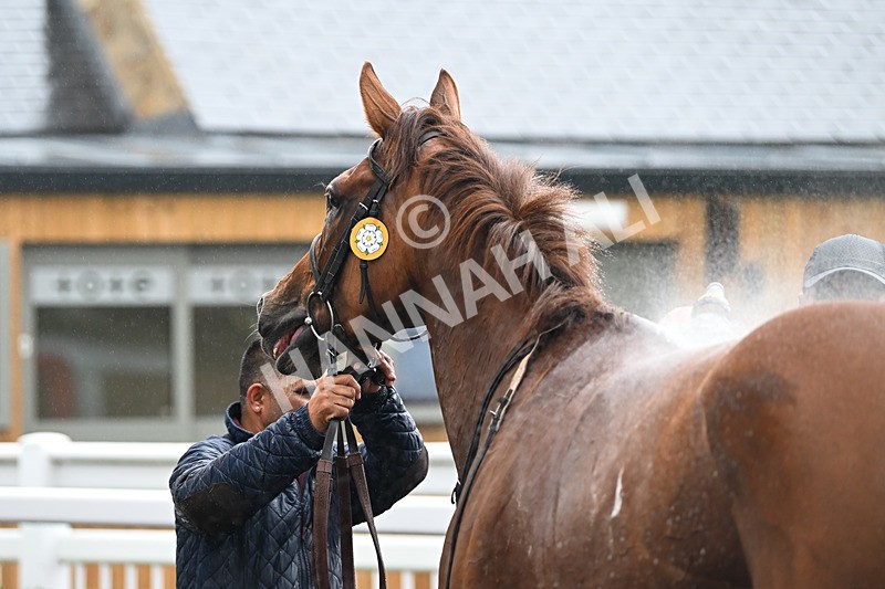 230725-Race 4-Brave Emerald-0347 - Race 4