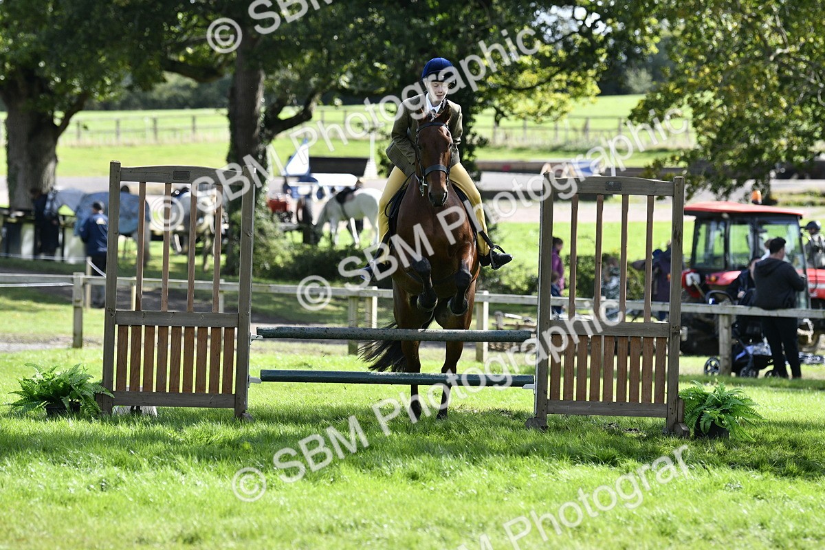 SBM_45701 - S33 - Working Hunter Pony