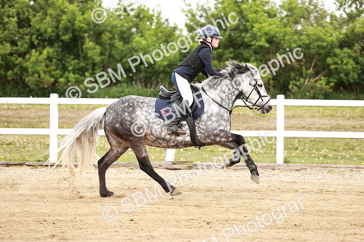 SBM_008775 - Class 5 - 80cm