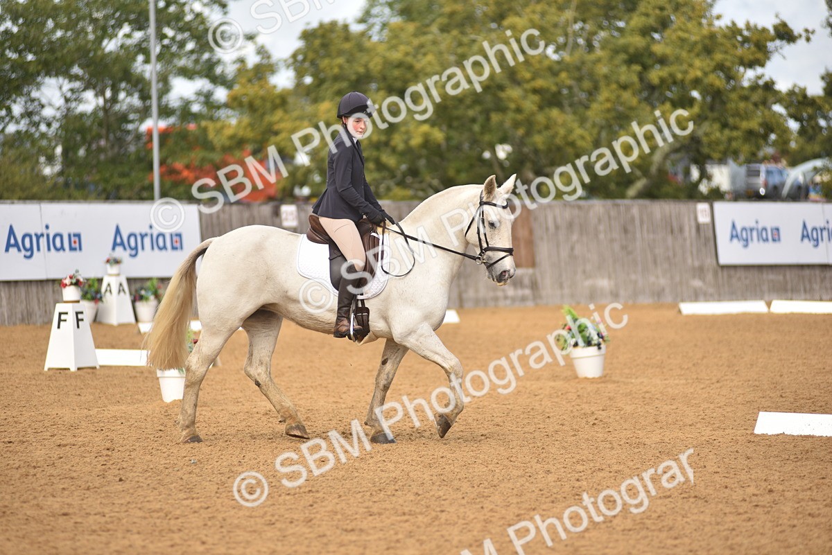 SBM_42320 - D22 - Junior Championship Intro 3