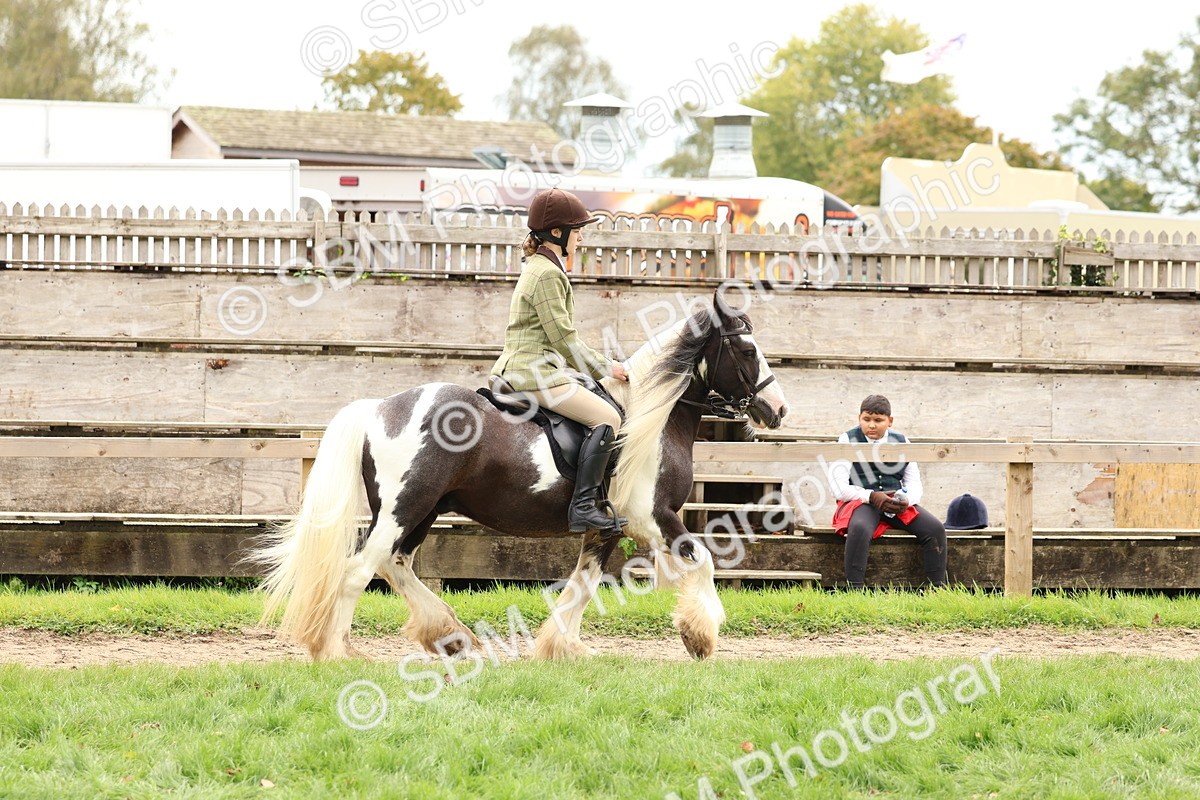 SBM_64416 - S58 - Coloured Pony Ridden
