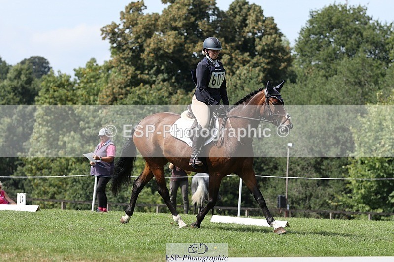 250823A-140132-31431 - Arena D