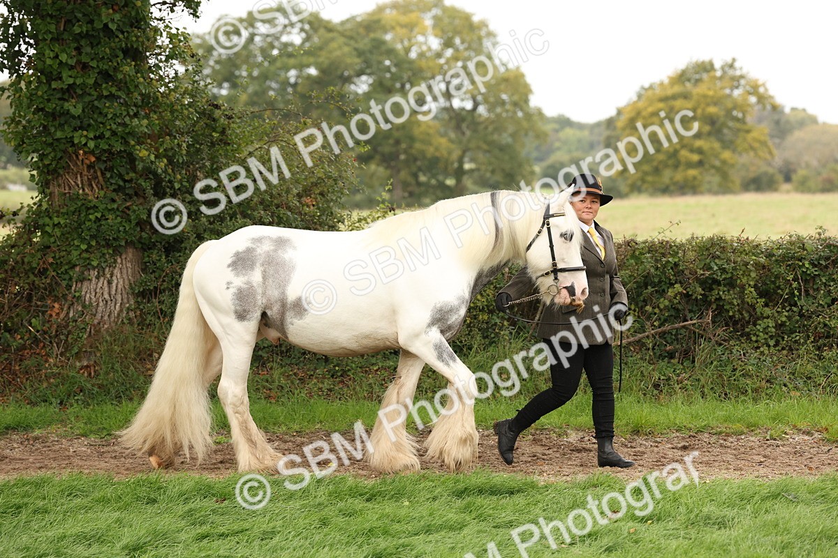 SBM_59218 - S57 - Traditional Cob In Hand