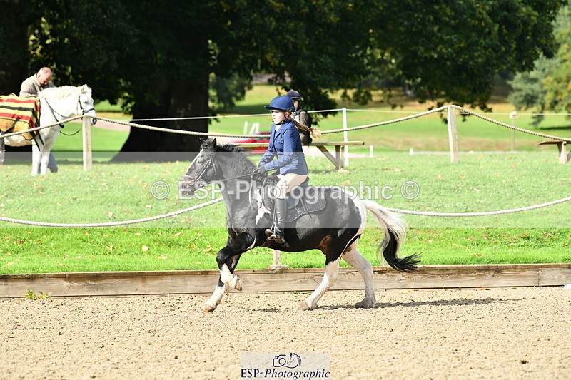 251004A-121444-00958 - Classes 4 & 5 50cm