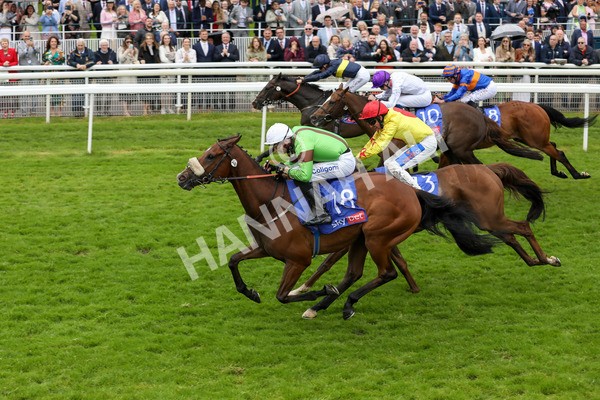 150624-Race 2-Tolstoy-6107 - Race 2 2.25pm Sky Bet Proud To Support Macmillan Handicap