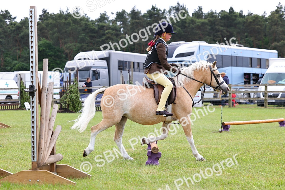 SBM_08584 - Class 42-43 - LIHS BSPS Heritage Working Sports Pony